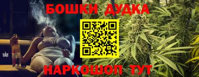 индика Краснознаменск