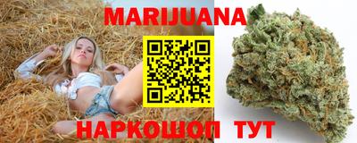 индика Краснознаменск